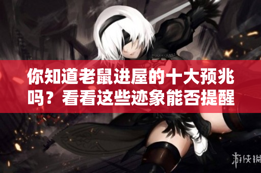 你知道老鼠进屋的十大预兆吗？看看这些迹象能否提醒你。