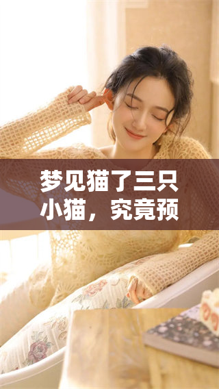 梦见猫了三只小猫，究竟预示着什么呢？请跟我一起来探讨一下。