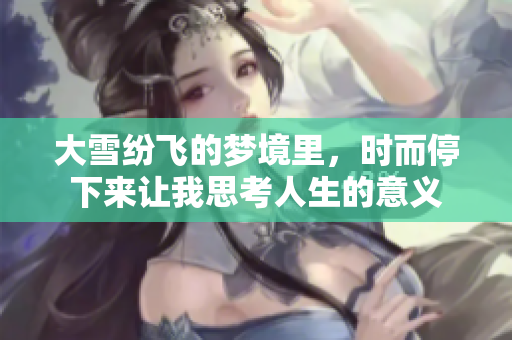 大雪纷飞的梦境里，时而停下来让我思考人生的意义