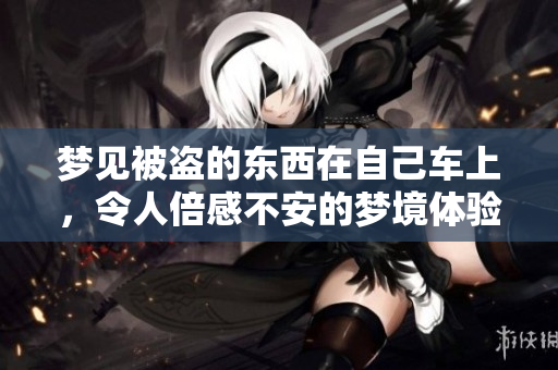 梦见被盗的东西在自己车上，令人倍感不安的梦境体验