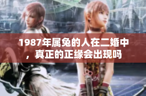 1987年属兔的人在二婚中，真正的正缘会出现吗