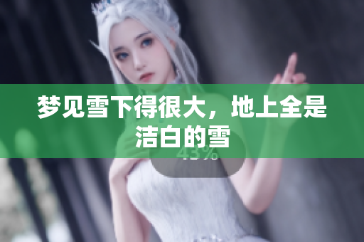 梦见雪下得很大，地上全是洁白的雪