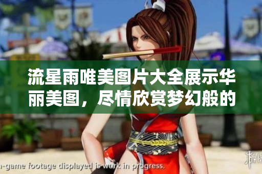 流星雨唯美图片大全展示华丽美图，尽情欣赏梦幻般的天文奇观