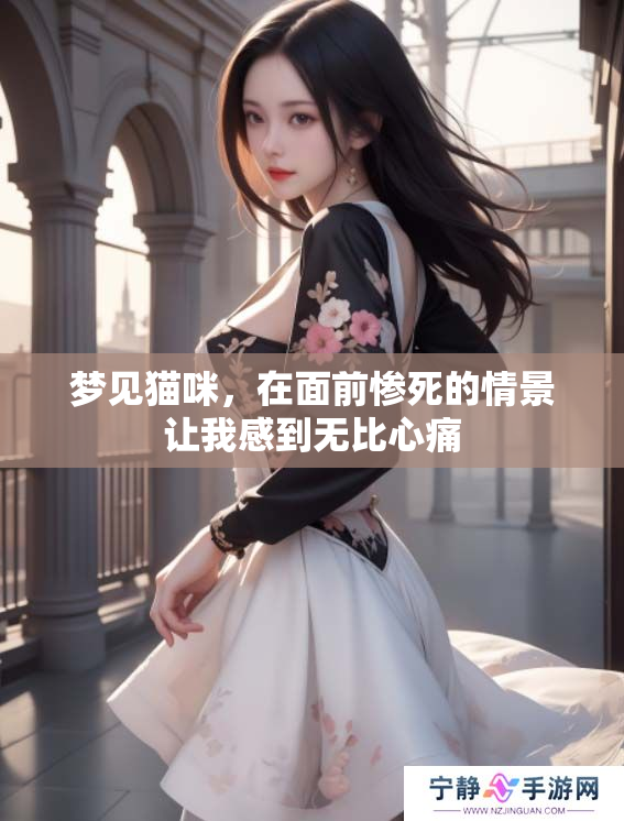 梦见猫咪，在面前惨死的情景让我感到无比心痛