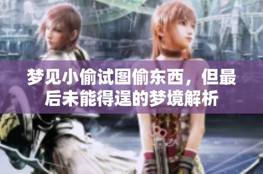 梦见小偷试图偷东西，但最后未能得逞的梦境解析