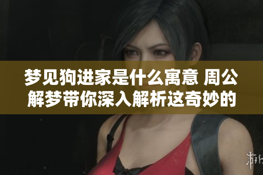 梦见狗进家是什么寓意 周公解梦带你深入解析这奇妙的梦境