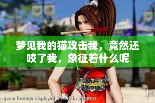 梦见我的猫攻击我，竟然还咬了我，象征着什么呢