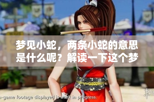 梦见小蛇，两条小蛇的意思是什么呢？解读一下这个梦境背后的含义。