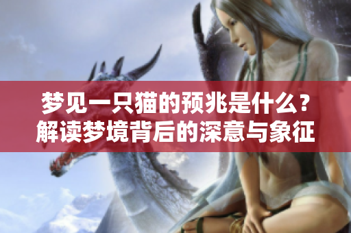 梦见一只猫的预兆是什么？解读梦境背后的深意与象征