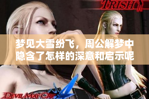 梦见大雪纷飞，周公解梦中隐含了怎样的深意和启示呢
