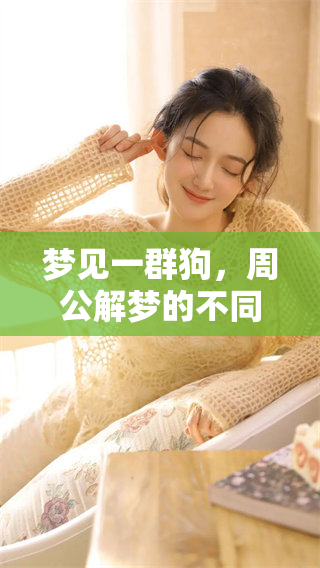 梦见一群狗，周公解梦的不同解析与含义分享