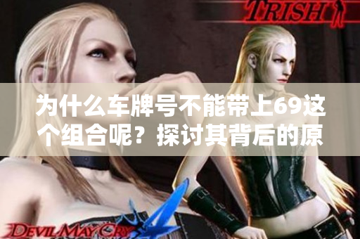 为什么车牌号不能带上69这个组合呢？探讨其背后的原因与含义。