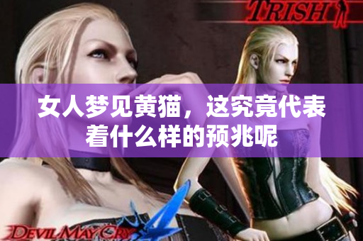 女人梦见黄猫，这究竟代表着什么样的预兆呢