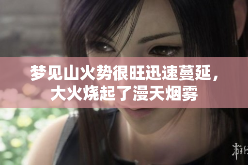梦见山火势很旺迅速蔓延，大火烧起了漫天烟雾