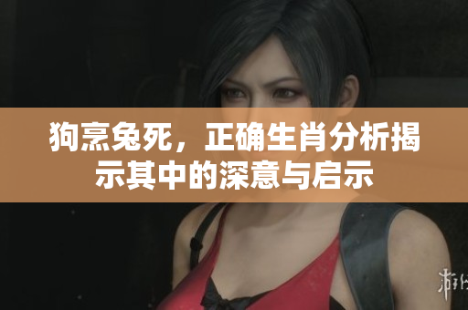 狗烹兔死，正确生肖分析揭示其中的深意与启示