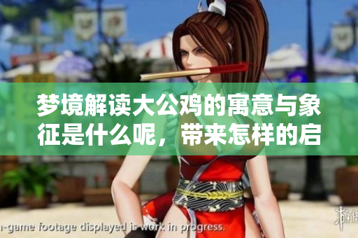 梦境解读大公鸡的寓意与象征是什么呢，带来怎样的启示与思考呢