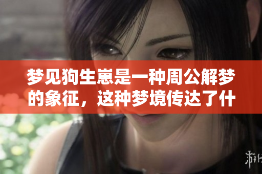 梦见狗生崽是一种周公解梦的象征，这种梦境传达了什么样的含义呢