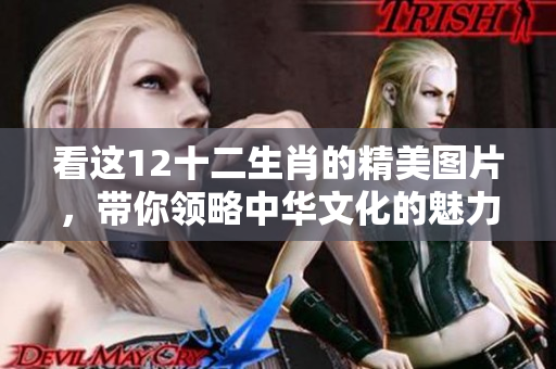 看这12十二生肖的精美图片，带你领略中华文化的魅力与神秘。