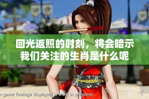 回光返照的时刻，将会暗示我们关注的生肖是什么呢