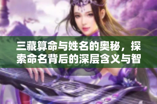 三藏算命与姓名的奥秘，探索命名背后的深层含义与智慧