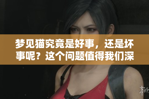 梦见猫究竟是好事，还是坏事呢？这个问题值得我们深入探讨。