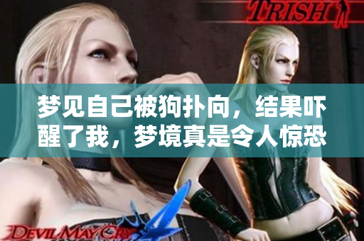梦见自己被狗扑向，结果吓醒了我，梦境真是令人惊恐