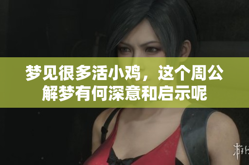 梦见很多活小鸡，这个周公解梦有何深意和启示呢
