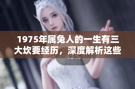 1975年属兔人的一生有三大坎要经历，深度解析这些坎的影响与应对之策