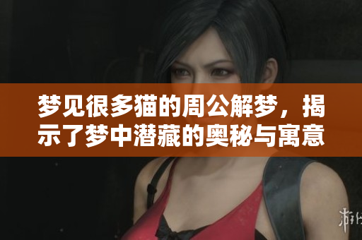 梦见很多猫的周公解梦，揭示了梦中潜藏的奥秘与寓意