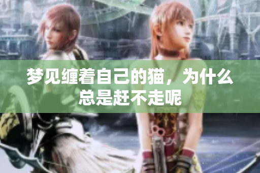 梦见缠着自己的猫，为什么总是赶不走呢