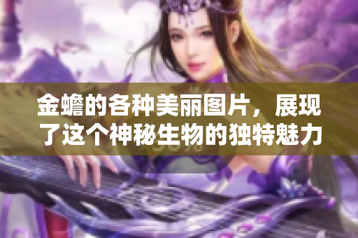 金蟾的各种美丽图片，展现了这个神秘生物的独特魅力