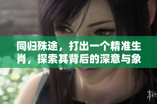 同归殊途，打出一个精准生肖，探索其背后的深意与象征