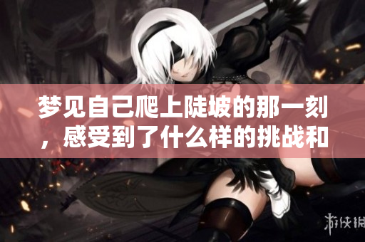 梦见自己爬上陡坡的那一刻，感受到了什么样的挑战和启示呢