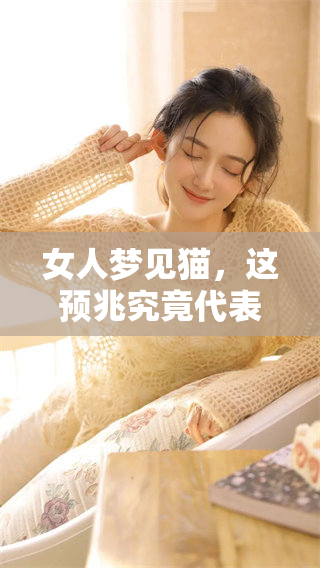 女人梦见猫，这预兆究竟代表了什么呢 周公解梦为你解密