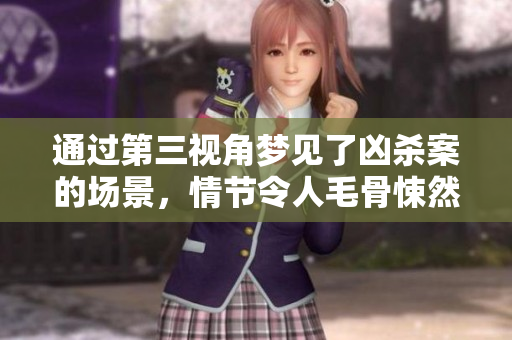 通过第三视角梦见了凶杀案的场景，情节令人毛骨悚然