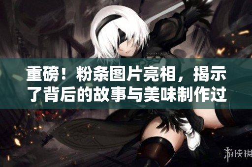 重磅！粉条图片亮相，揭示了背后的故事与美味制作过程！