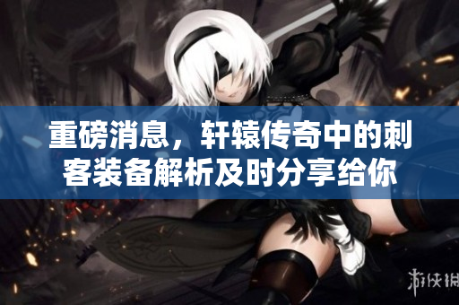 重磅消息，轩辕传奇中的刺客装备解析及时分享给你