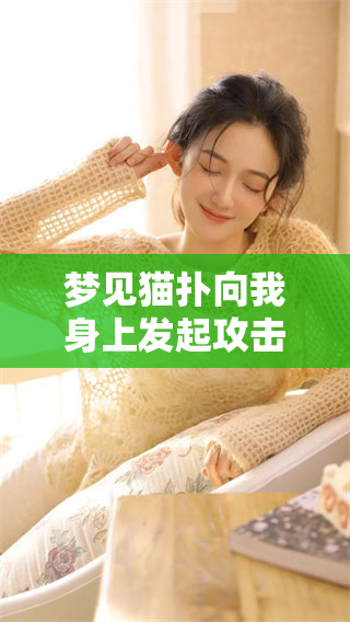 梦见猫扑向我身上发起攻击，这个梦境到底意味着什么呢