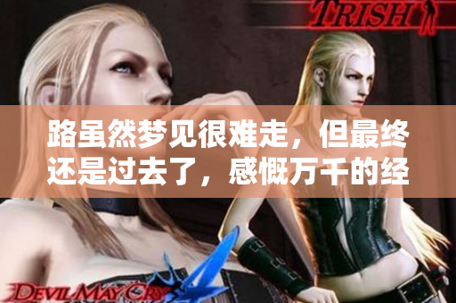 路虽然梦见很难走，但最终还是过去了，感慨万千的经历。