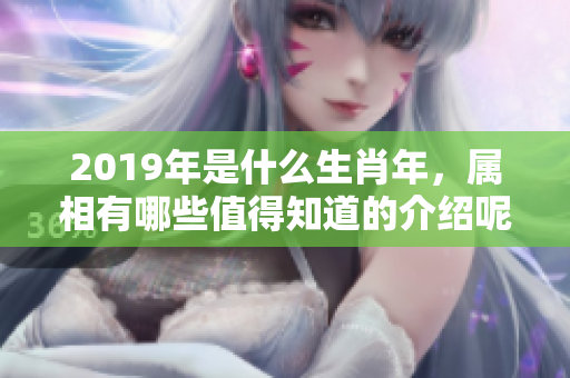2019年是什么生肖年，属相有哪些值得知道的介绍呢
