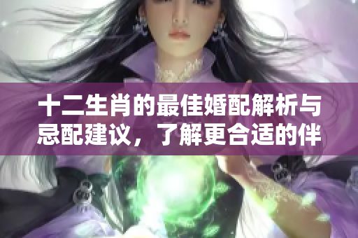 十二生肖的最佳婚配解析与忌配建议，了解更合适的伴侣选择