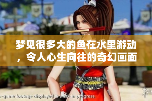 梦见很多大的鱼在水里游动，令人心生向往的奇幻画面