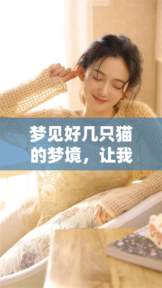 梦见好几只猫的梦境，让我回想起了那些猫咪的快乐时光