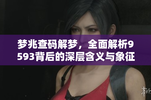 梦兆查码解梦，全面解析9593背后的深层含义与象征