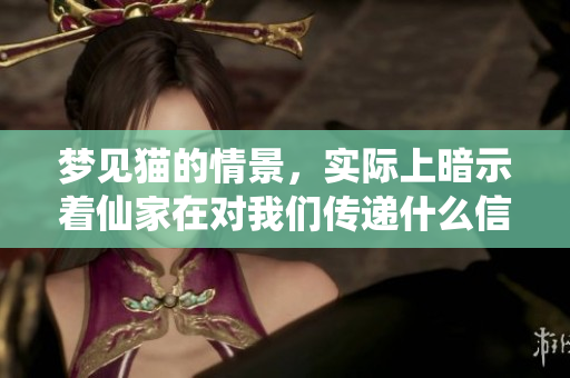 梦见猫的情景，实际上暗示着仙家在对我们传递什么信息呢