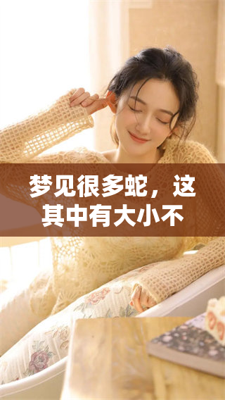 梦见很多蛇，这其中有大小不同的大蛇小蛇，让我感到十分惊恐