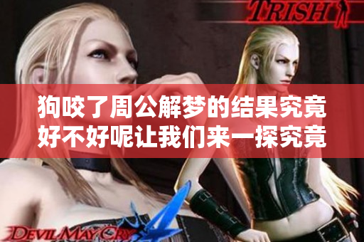 狗咬了周公解梦的结果究竟好不好呢让我们来一探究竟
