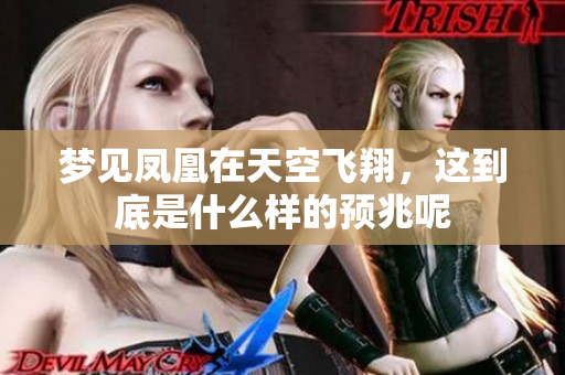 梦见凤凰在天空飞翔，这到底是什么样的预兆呢