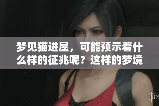 梦见猫进屋，可能预示着什么样的征兆呢？这样的梦境你了解吗？