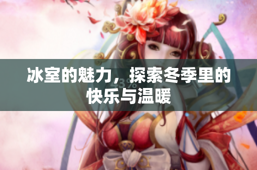 冰室的魅力，探索冬季里的快乐与温暖